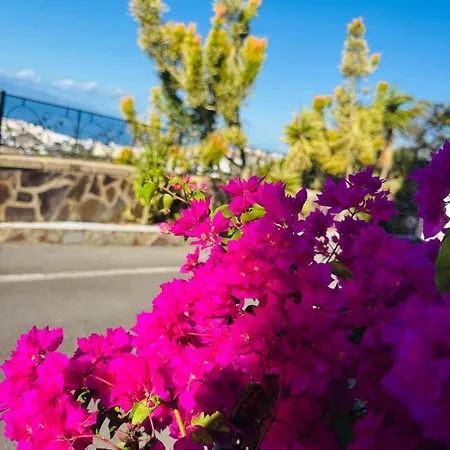 Apartment Tenerife Lovely With Ocean Mountain View