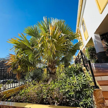 Apartamento Tenerife Lovely With Ocean Mountain View Costa Adeje (Tenerife)
